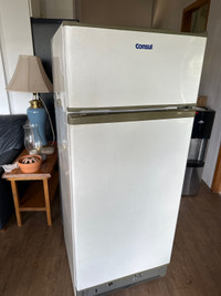 Propane fridge/freezer