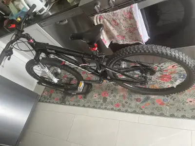 Devinci basher, View more