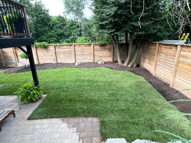 Landscape/Snow removal in Lawn, Tree Maintenance & Eavestrough in Mississauga / Peel Region - Image 4