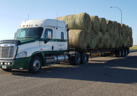 Hay and Straw Bale transport and delivery