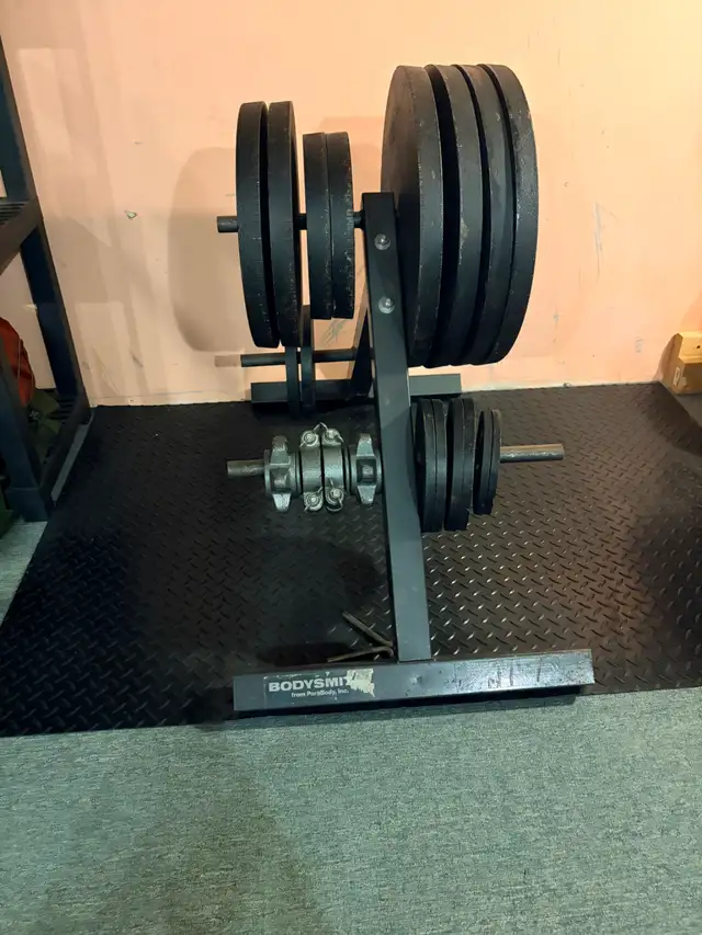 Free weights plus bench in Exercise Equipment in Ottawa - Image 2