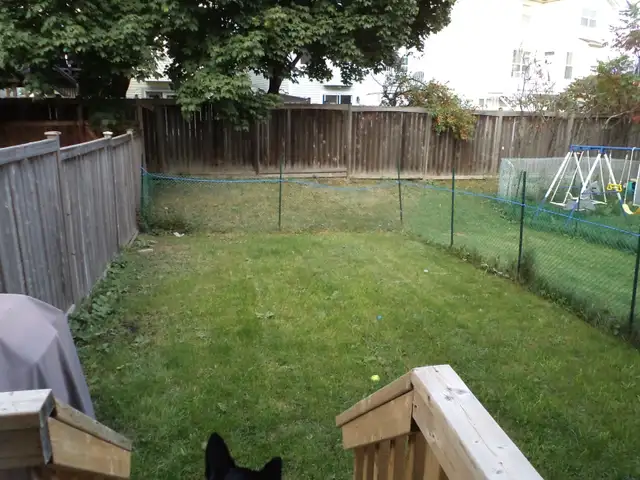 Beautiful 3-Bedroom Townhome for Rent - Barrhaven in Long Term Rentals in Ottawa - Image 11