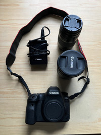 Canon 6D Mark II, objectifs EF 24-105mm et 75-300mm, objectif EF