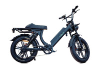Cobalt 48v Fat Tire E-Bicycle (Lifetime Warranty: Motor & Frame)