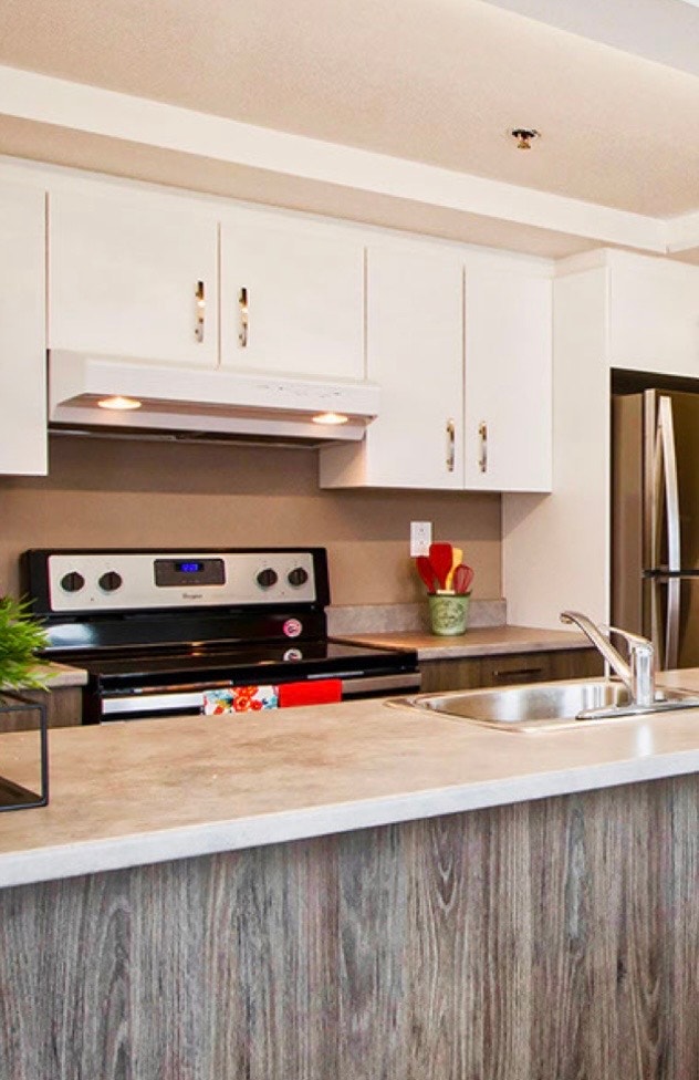 Beautiful 3½ Apartment for Rent – Downtown Montreal | Near Berri — photo 1