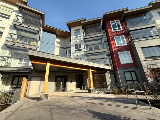 Brand New 1-Bedroom Apartment at Newton Neighborhood for Rent!