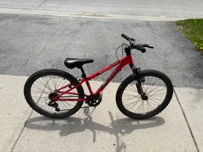 Kids Nakamura 24" Junior Mountain Bike, View more