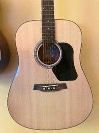 Acoustic Guitar + Case