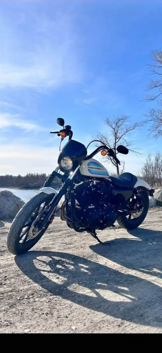 WTT or Sell 2019 Harley Davidson 1200 Iron in Street, Cruisers & Choppers in Winnipeg - Image 5