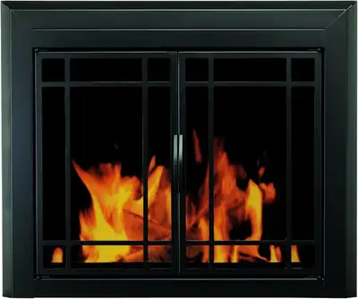 Glass Fireplace Doors and screen, View more
