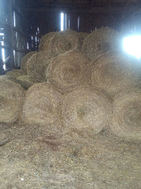 For sale Hay