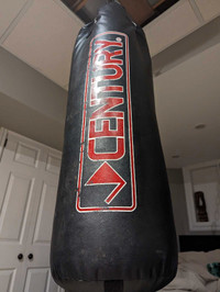 Century heavy punching bag with gloves 