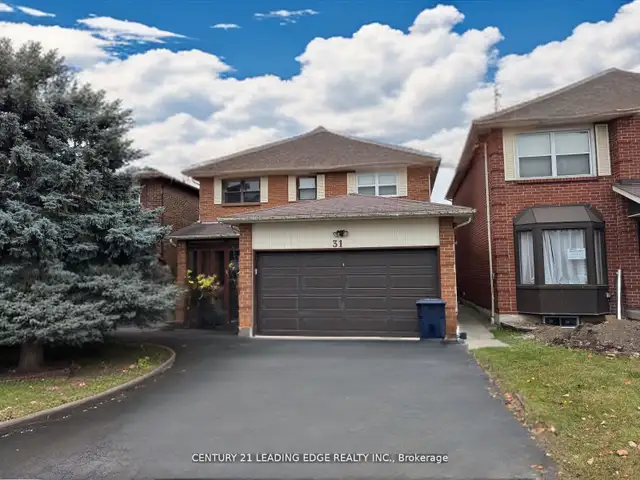 Basement Apartment in Highland Creek