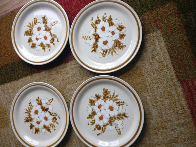 Vintage Mountain Wood Dried Flowers stoneware dinner  plates in Arts & Collectibles in Kitchener / Waterloo - Image 3