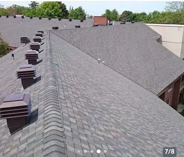 Professional Roofing Services479098259983585281