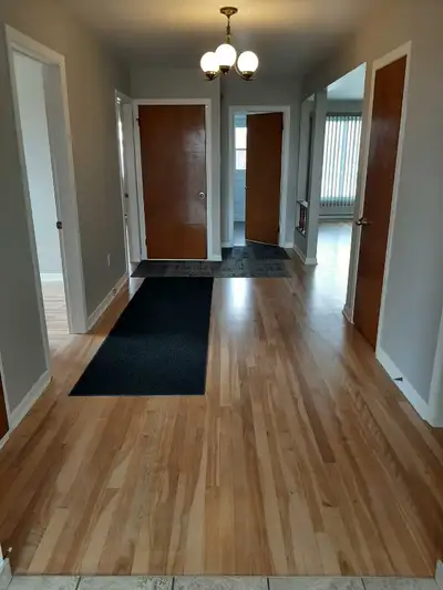 Appartement lumineux dans un quartier paisible Ideal pour couple et personnes tranquille, respectueu...