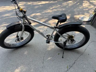 Schwinn Biggs DLX Fat Tire Bike, View more