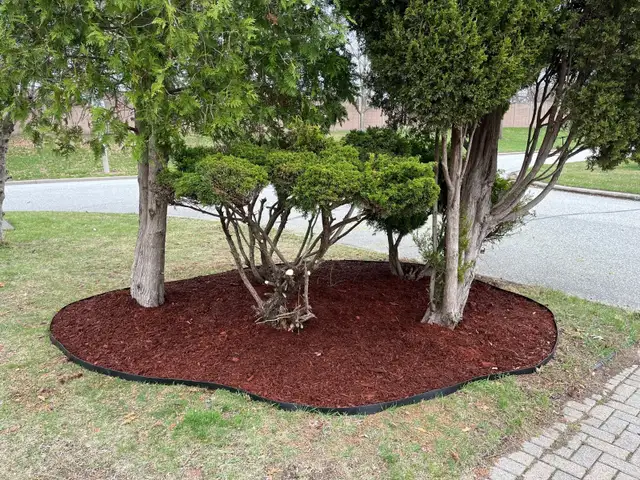 landscaping63009266616707122