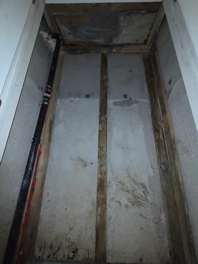 VISIBLE MOLD? DON'T WAIT – IT'S GROWING RIGHT NOW!522604453131069442