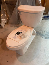 Rear Discharge Toilet with Ecoflush system