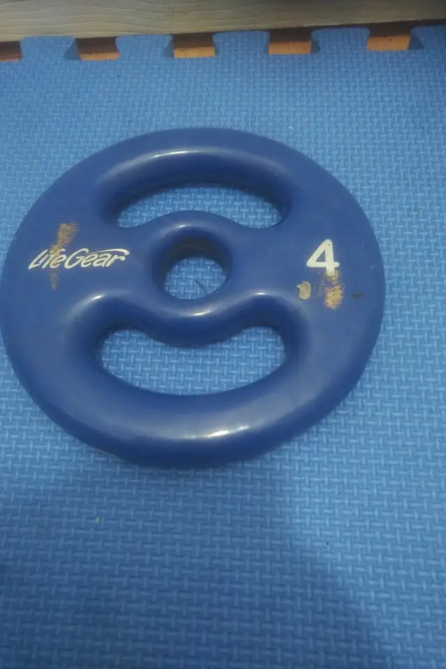 weight plates ($1.35/lbs) in Exercise Equipment in Delta/Surrey/Langley - Image 11