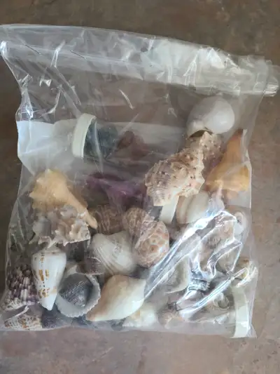 Approximately 2 lbs in weight. Purchased from Thrift Store but not used. Asking $5.00