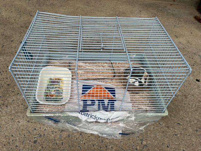 Cage pour petits animaux / hamster cage dans Autre  à Ville de Montréal