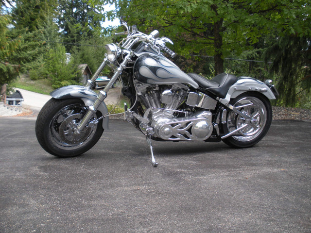 Custom 1986 Harley Davidson FXSTC. dans Utilitaires et de promenade  à Comté de Strathcona - Image 2