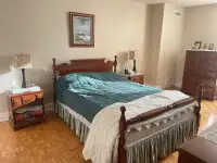 Share apartment or room for rent