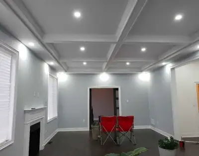 PROFESSIONAL PAINTER , View more