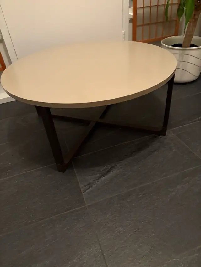Ikea Rissna Coffee Table64840231752834122