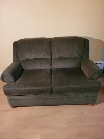Good condition couch and love seat. High backed, very comfortable $100 if you take both