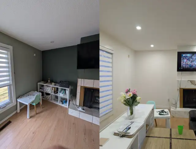 Professional Painter/Handyman  Services