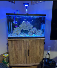 Selling out my salt water tank