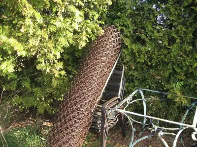 29 ft VINYL COATED CHAIN LINK FENCE - in NEWCASTLE, View more