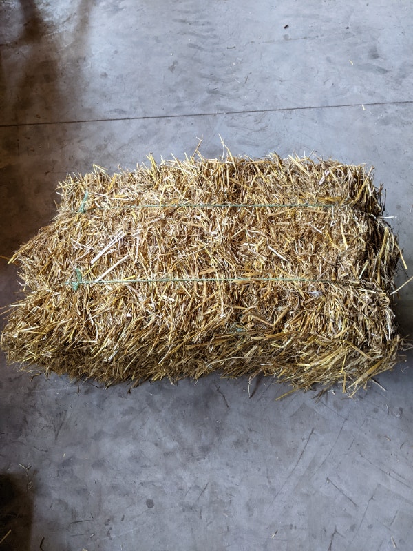 Small square oat straw bales Livestock Norfolk County Kijiji