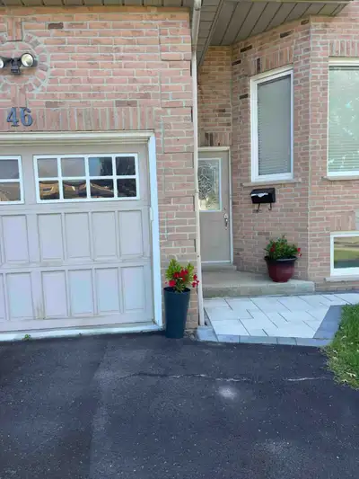 Looking for professional renter to rent a two bedroom walkout basement apatment. Walking distant to...