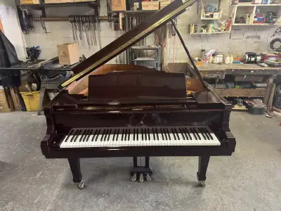 Grand Piano, View more