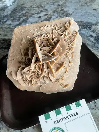 Large Desert rose specimen , View more