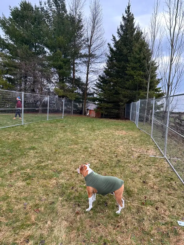 Dog Run / Kennel in Accessories in City of Toronto - Image 4