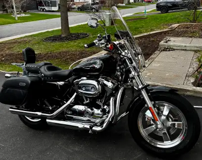 2013 Harley Davidson 1200 Sportster. Low mileage, heated garage kept. Senior owner. Selling because...