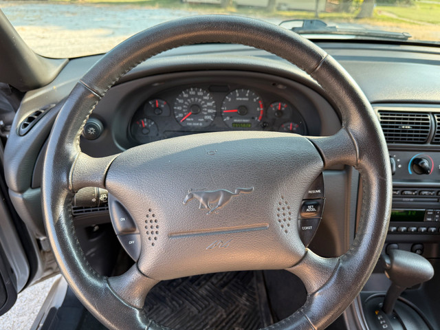 2004 anniversary edition convertible mustang in Cars & Trucks in Leamington - Image 4