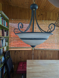 Ceiling Hanging Light Fixture