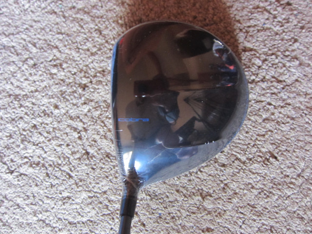 *YOU + A GOLF PAL* CHECK OUT *THIS OFFER* in Golf in Edmonton - Image 3