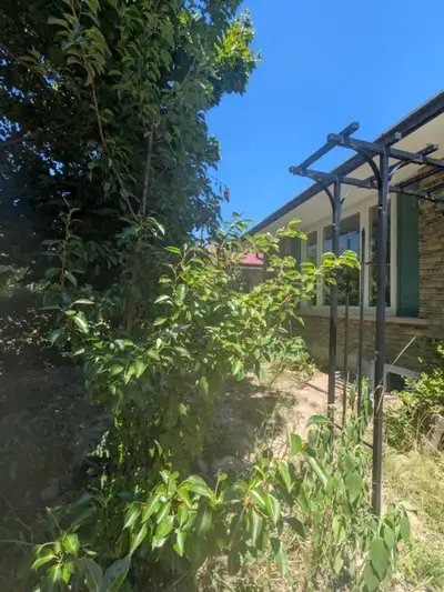 A “Bright & Cozy Room – All Utilities Included – $700/month” “Room for Rent – Private Room "Female R...