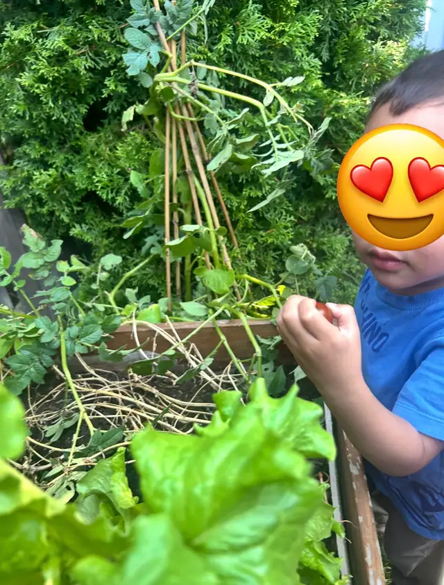 Weekend Nature Program583745252434257921
