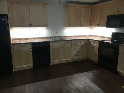 2 bedroom basement apartment available March 1st Open concept kitchen, dining, living room. Included...