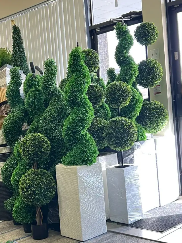 Lush Green Boxwood Trees: Durable & UV-Protected for Outdoor in Outdoor Décor in Mississauga / Peel Region - Image 7