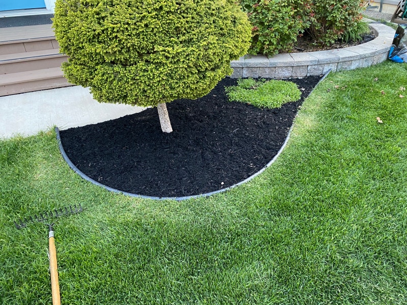 Bright’s Grove Lawncare and Landscaping Lawn, Tree Maintenance