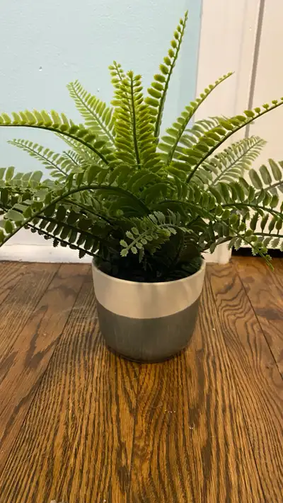 Faux plant, View more